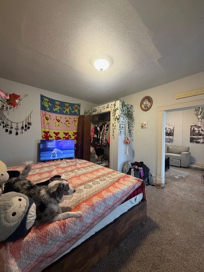 Building Photo - 907 Forest St