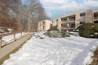 Building Photo - 529 Fox Run Ln