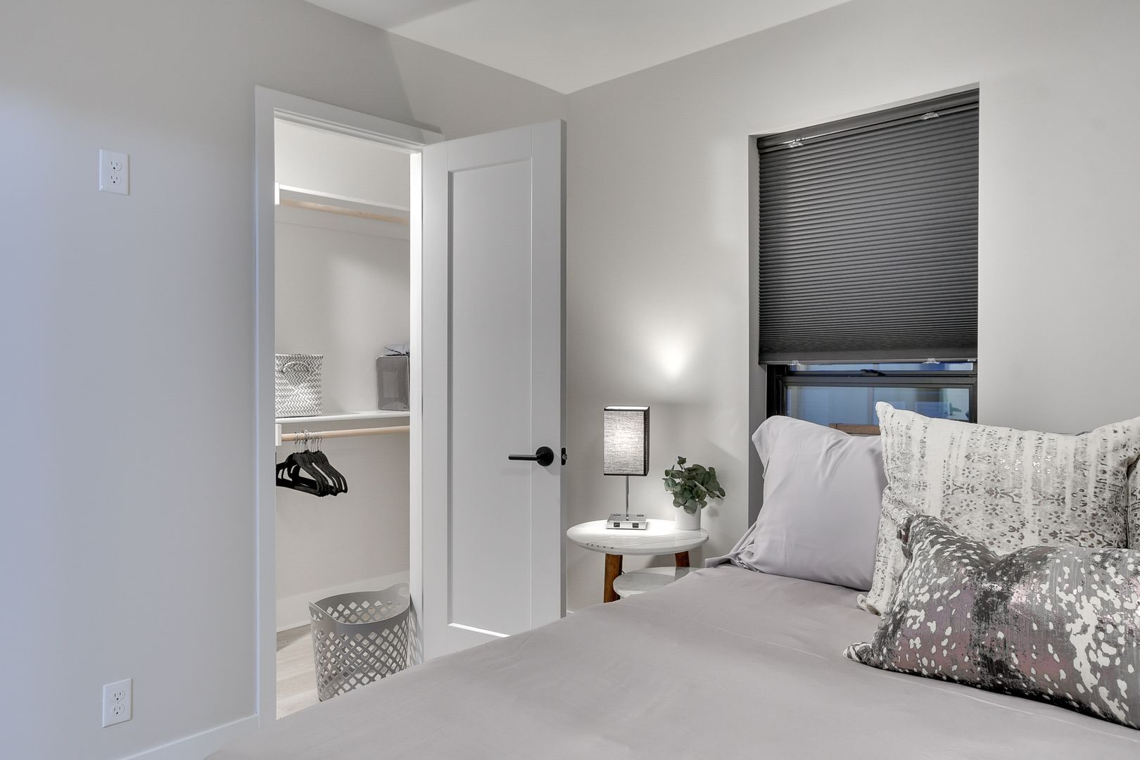 Walk in Closet - 1013 Park Ave