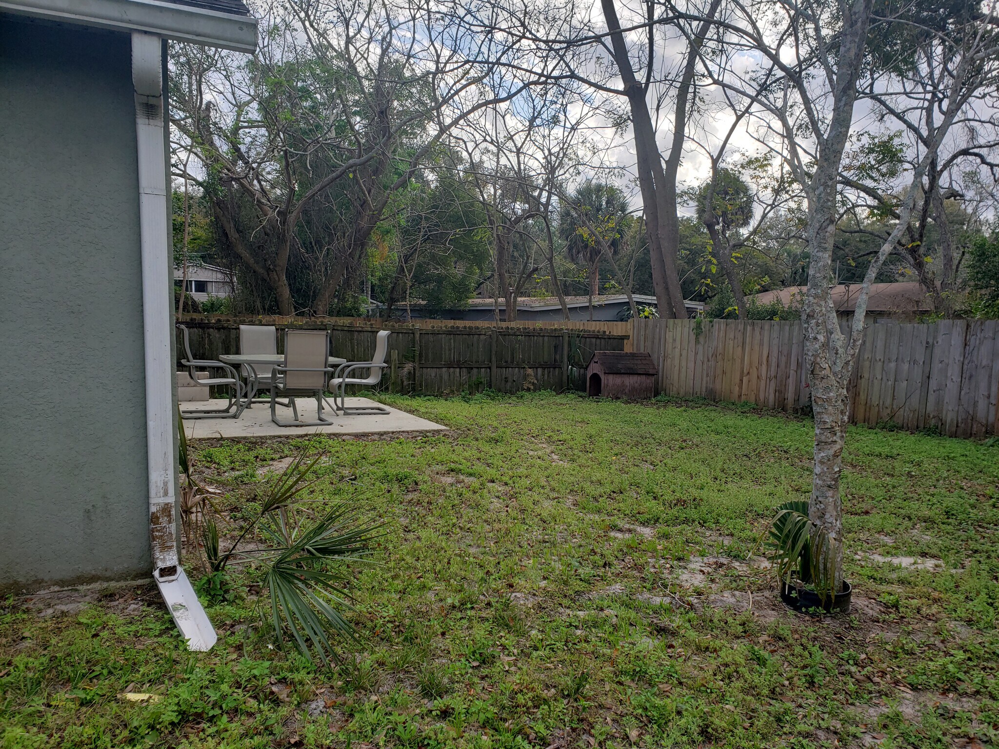 Backyard and patio - 2306 S Bumby Ave