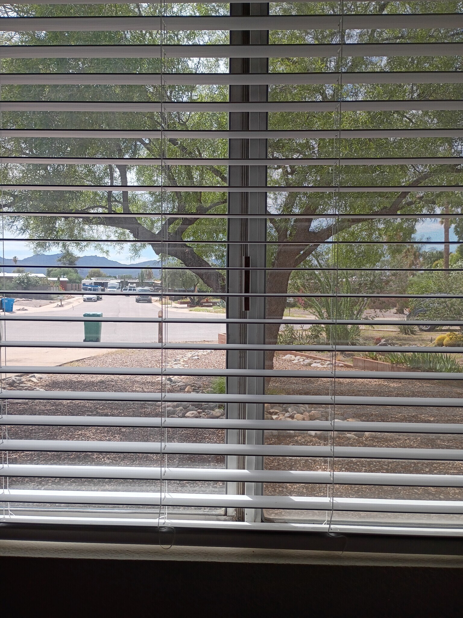 View from one of 3 bedrooms - 7088 N Moonsong Ter
