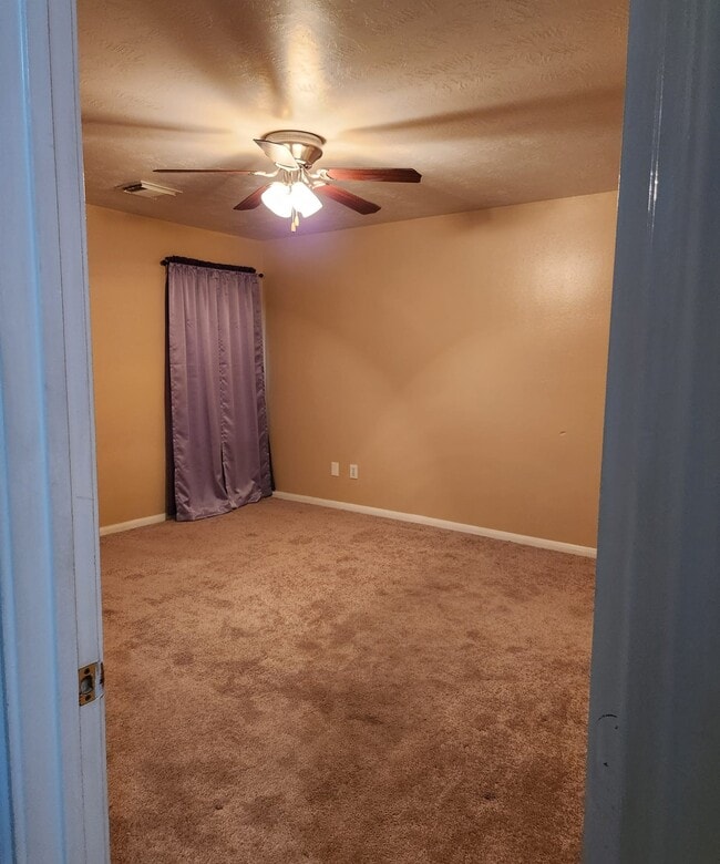 Building Photo - 2007 Goldspring Ln