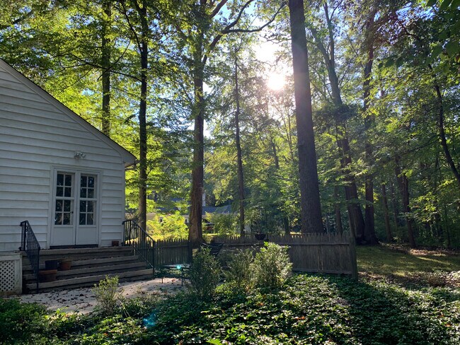 Patio and trees - 5 Cliffholme Rd