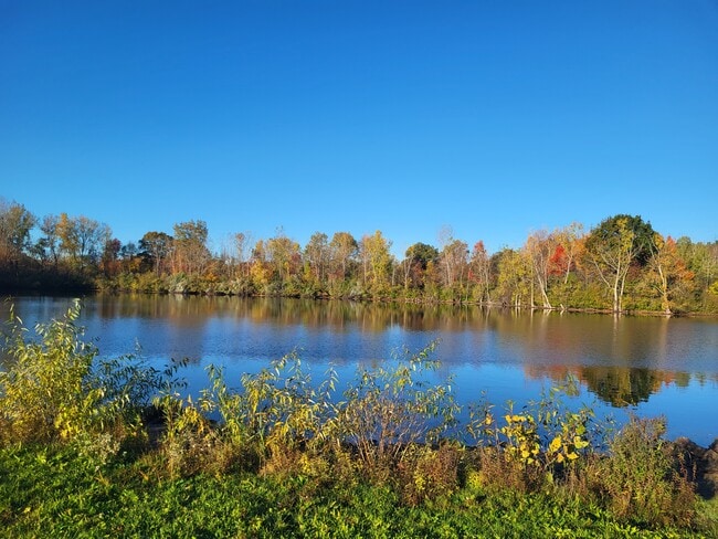 Building Photo - 11737 21 Mile Rd