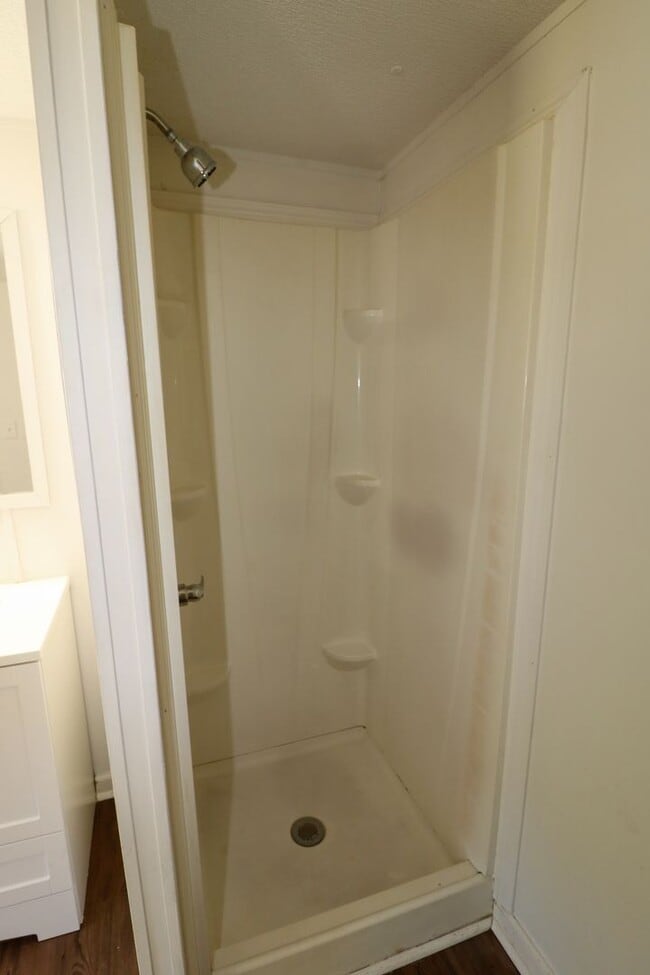 Building Photo - Newly Renovated Home