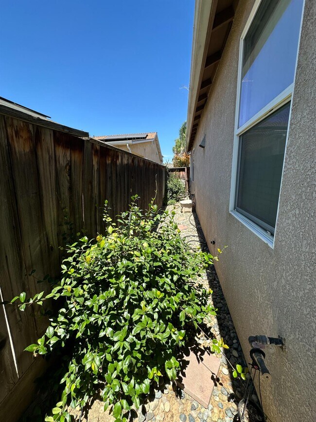 Building Photo - 5541 N Plum Ln