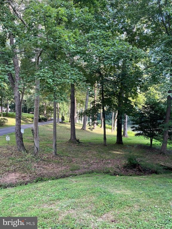 Building Photo - 3137 Trenholm Dr