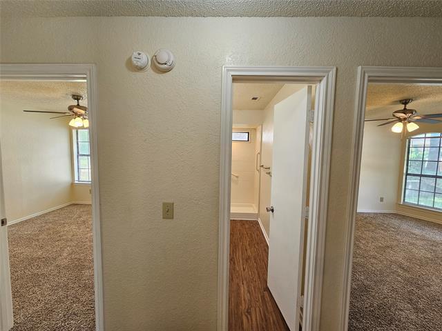 Building Photo - 116 Park Cir