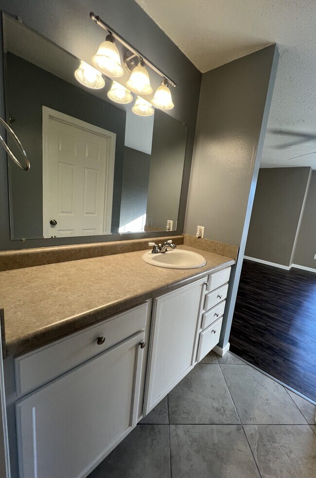 Building Photo - 2539 Catskill Ct