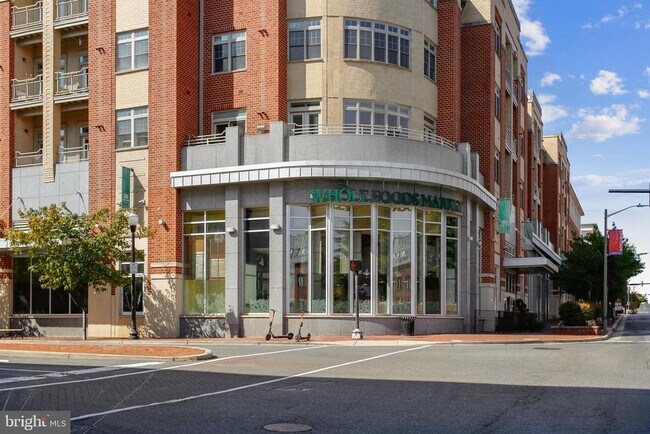 Building Photo - 309 Holland Ln