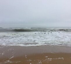 Building Photo - 15 Alamanda Dr