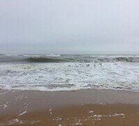 Building Photo - 15 Alamanda Dr