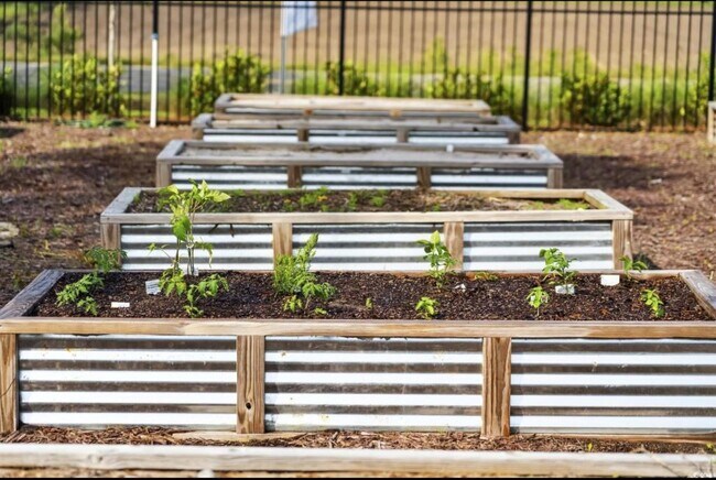 Building Photo - 252 Brackish Dr