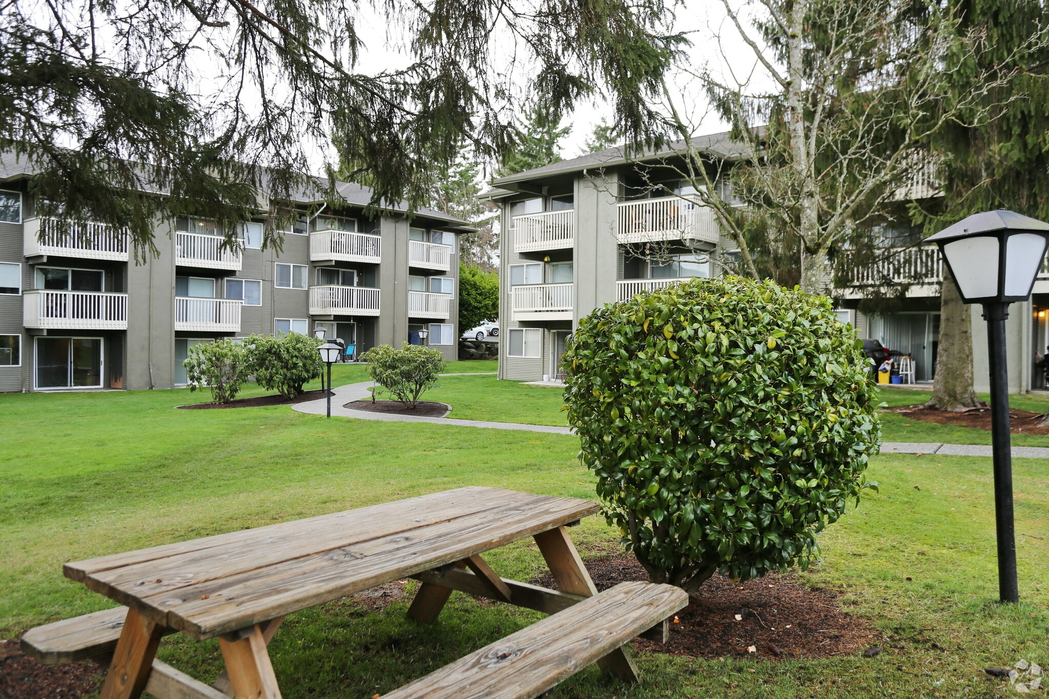 Building Photo - Bluffs at Evergreen