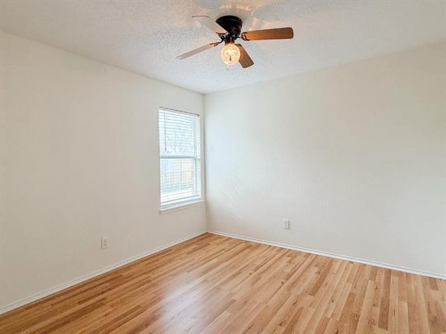 Building Photo - 308 Palm St