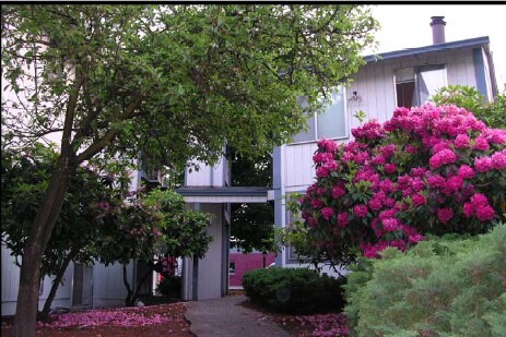Building Photo - Timber Terrace