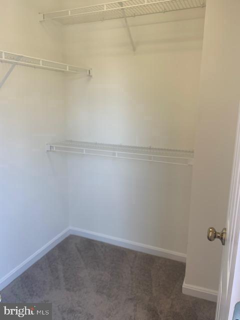 Building Photo - 4120 Vanderbilt Ct