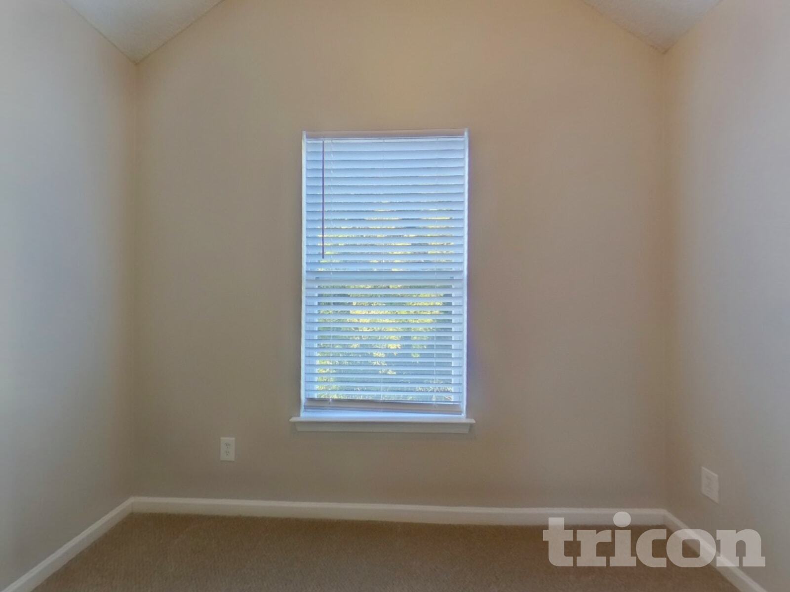 Building Photo - 5006 Serenity Point Ln