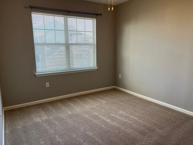 Building Photo - L(o)(o)K what we found!