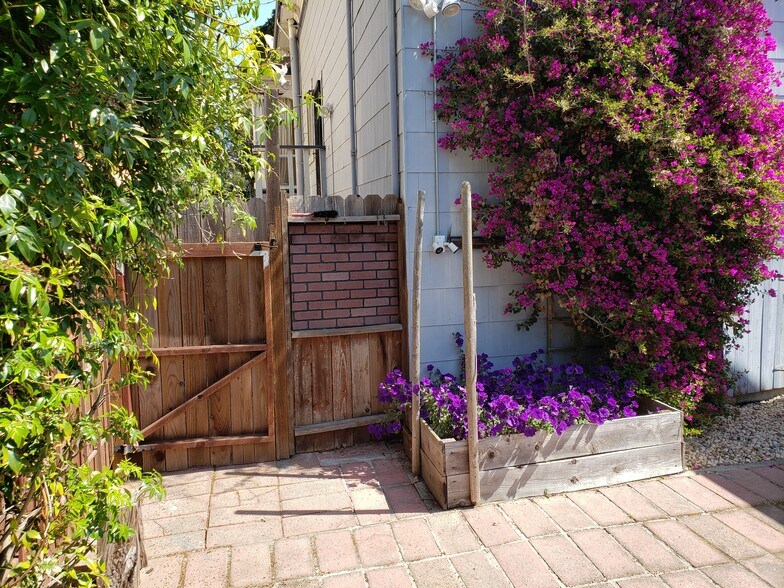 yard - 1077 12th Street
