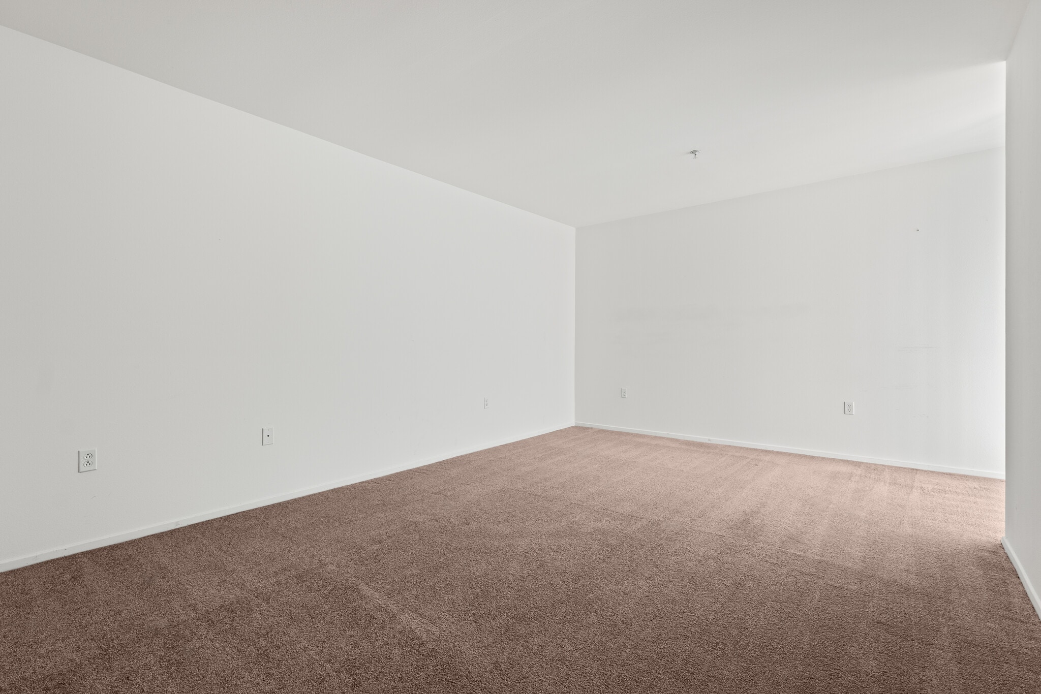 Building Photo - 267 S San Pedro St