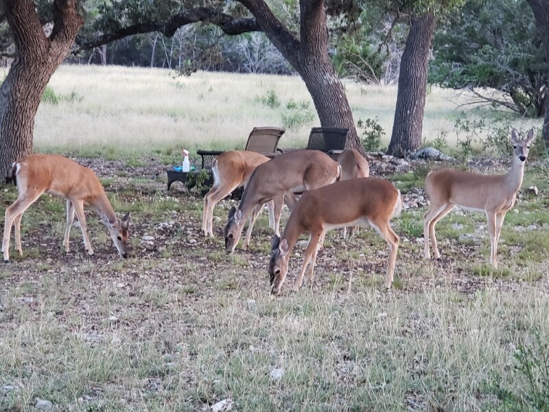 Building Photo - 143 River Ranch Rd