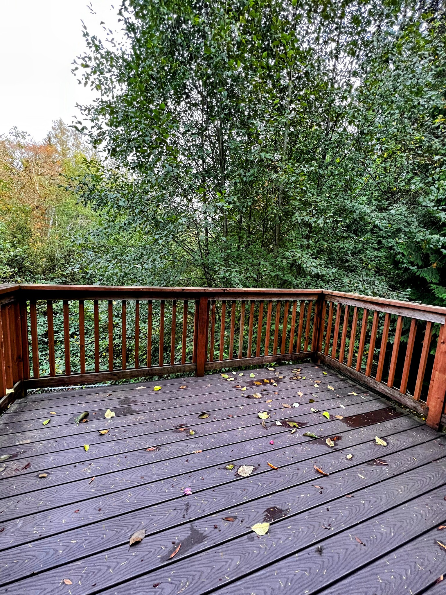 Great Deck for BBQ - 1747 Vela Ln SW
