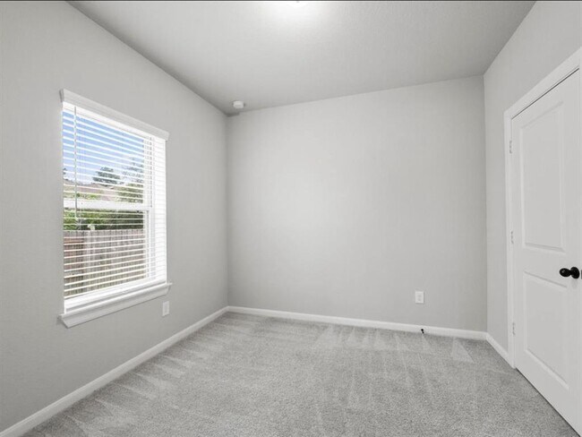 Building Photo - 311 Fanpalm Ct