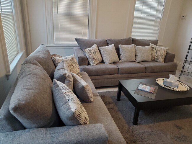 Plenty of space - 87 Vinton St