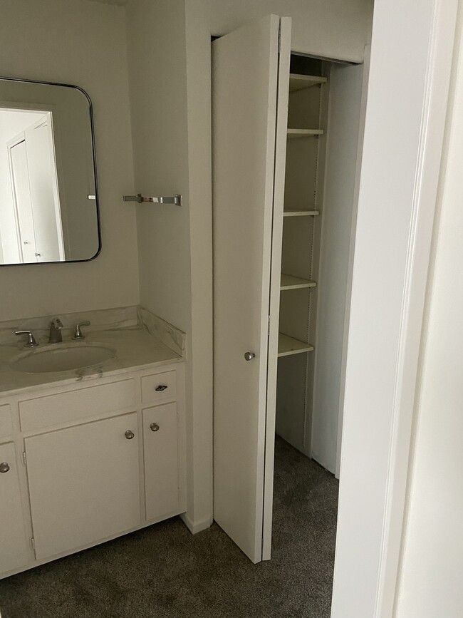 Master bathroom vanity and linen closet - 3730 Bluff Pl