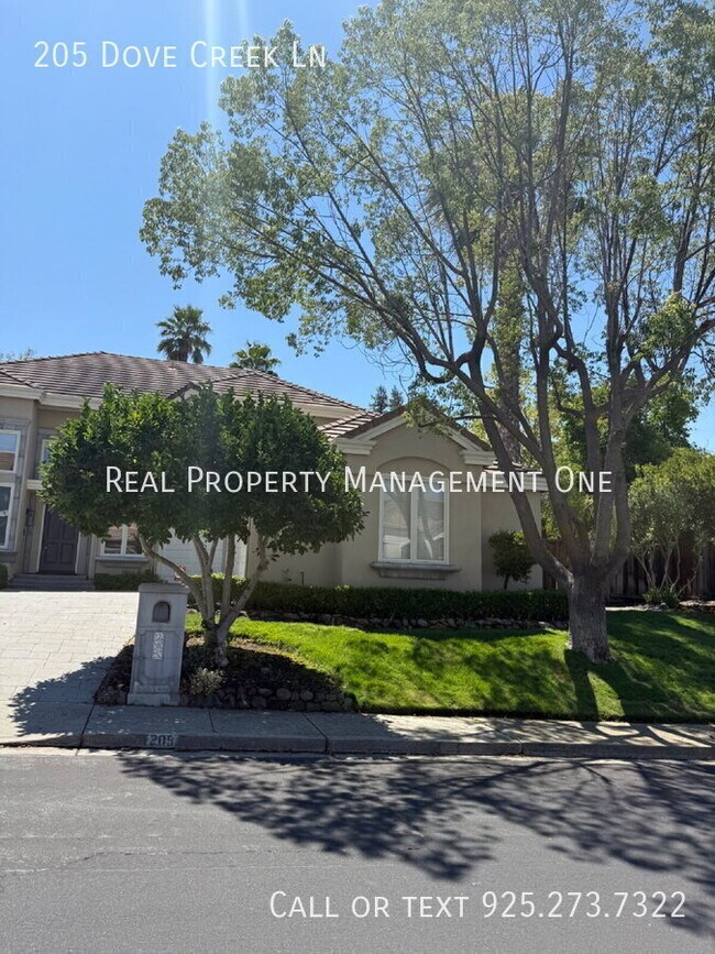 Building Photo - 205 Dove Creek Ln