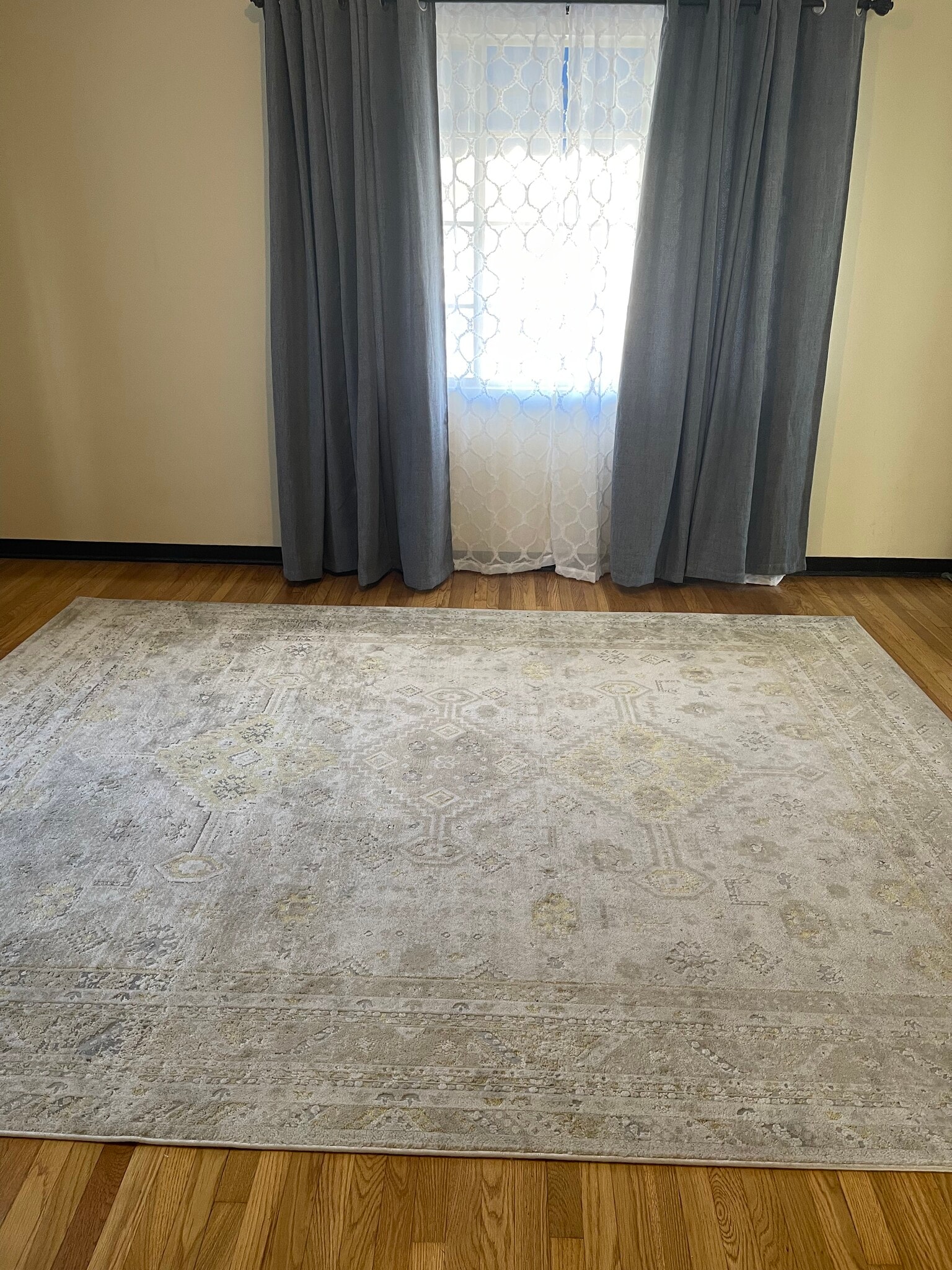 Area rug - 1431 1/2 N Allen Ave