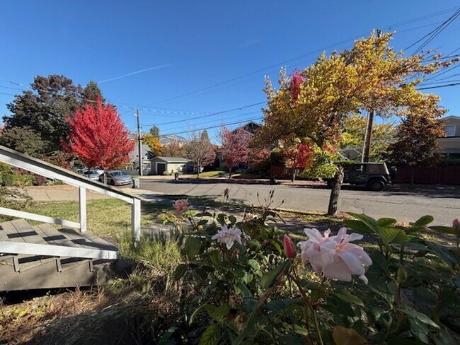 Building Photo - Updated ground floor unit in vintage duple...