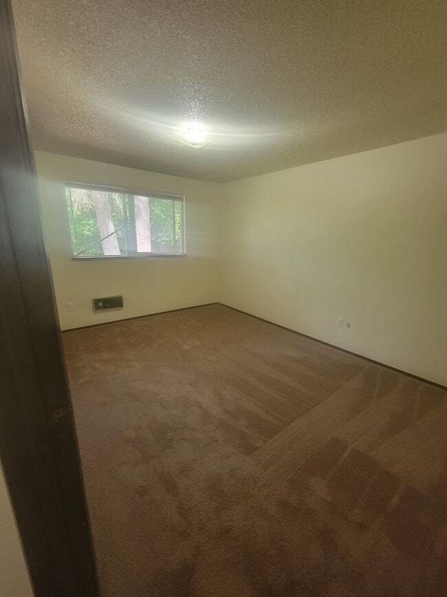 Building Photo - Cute & Cozy Spanaway Rambler