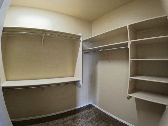 Building Photo - 7518 Sierra Bella Pl