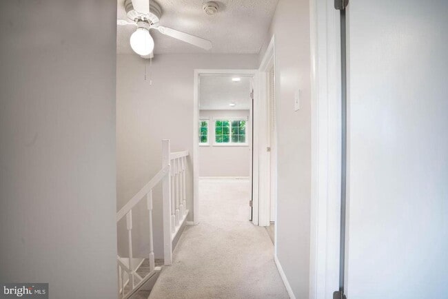 Building Photo - 8015 Steeple Chase Ct