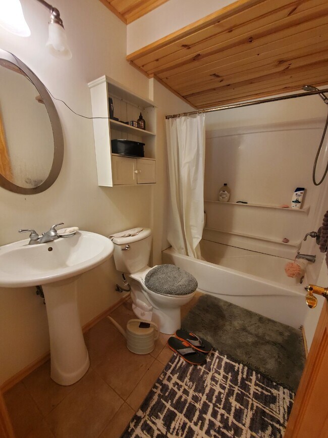 Building Photo - 3BR 2BA Single Family Home in Anoka