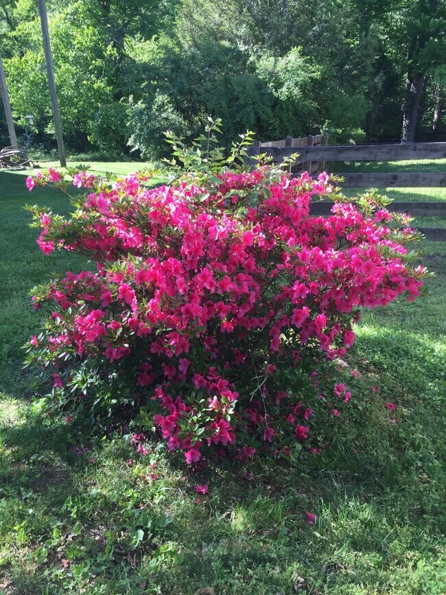 Building Photo - 144 Scenic Harpeth Dr
