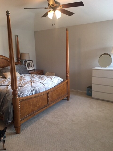 Master bedroom - 3809 Willie Mays Ln