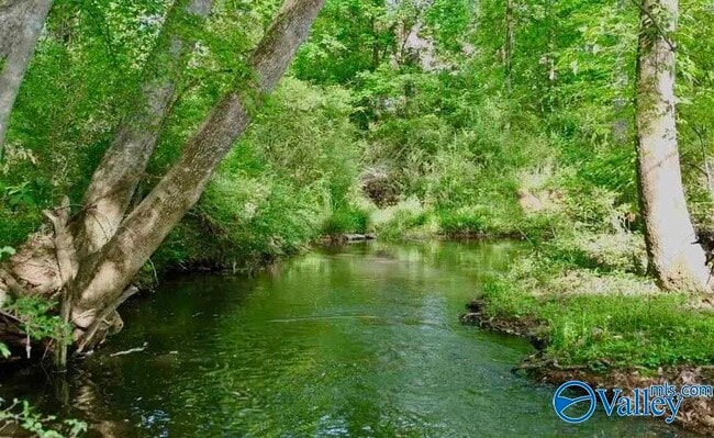 Building Photo - 50 Pine St