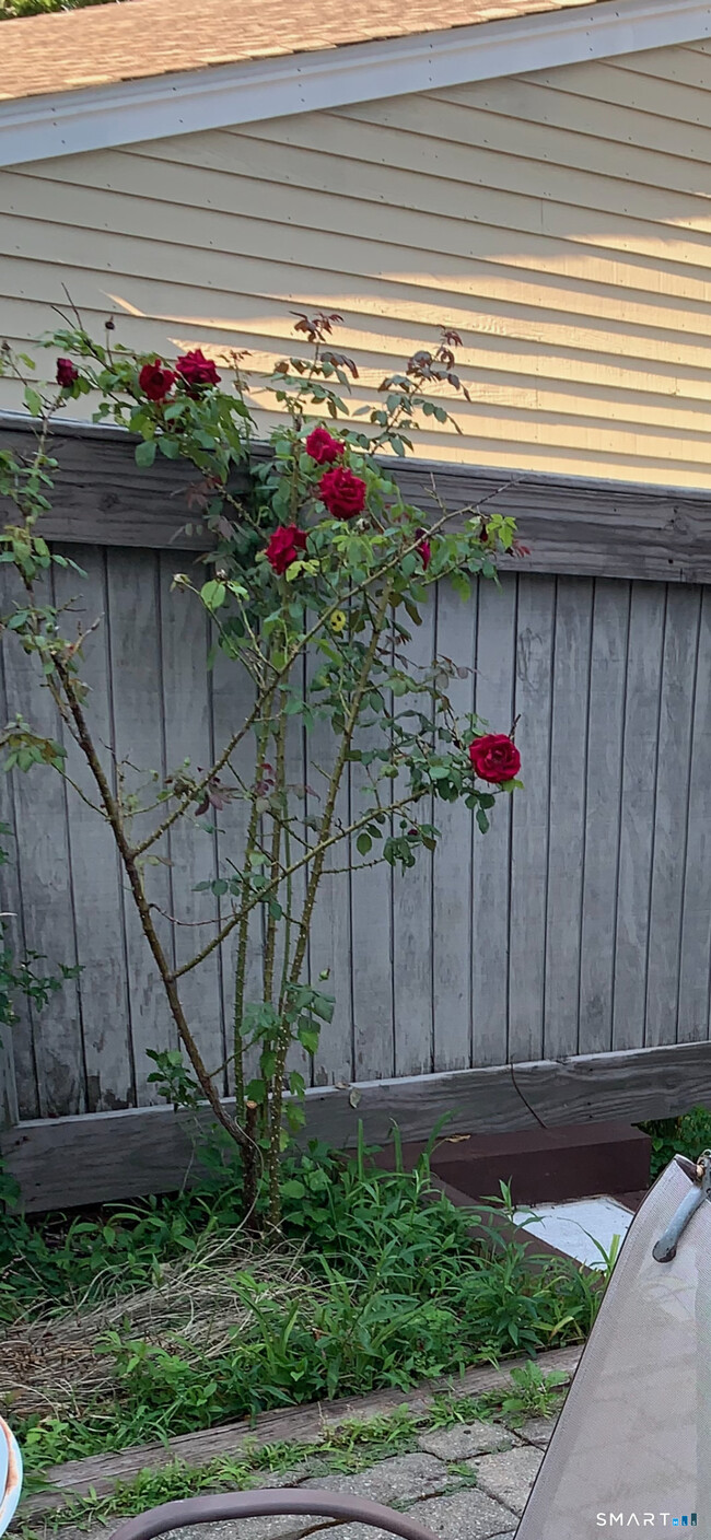 Building Photo - 630 Longfellow Dr