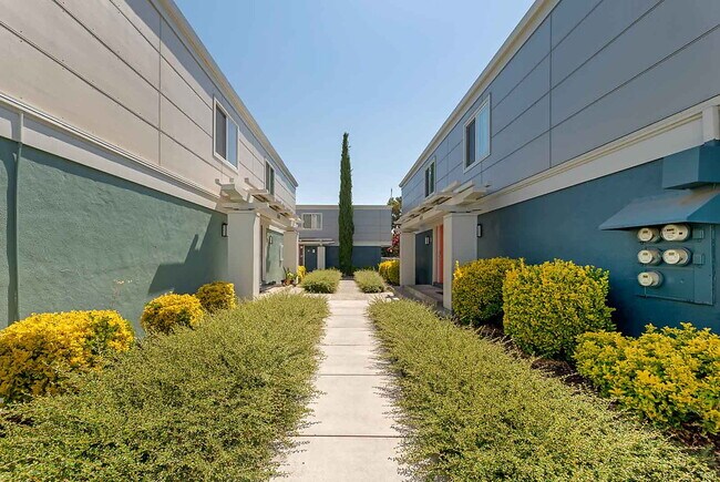 Building Photo - The Pointe at Cupertino
