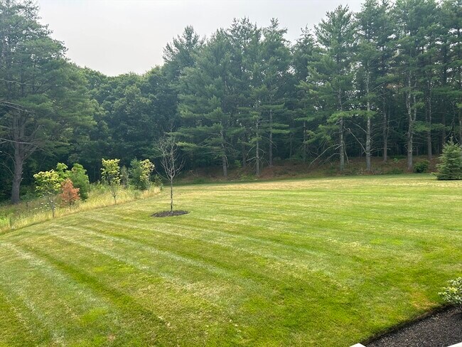 Building Photo - 6 Lily Pond Ln