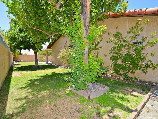 Building Photo - 67735 Peineta Rd