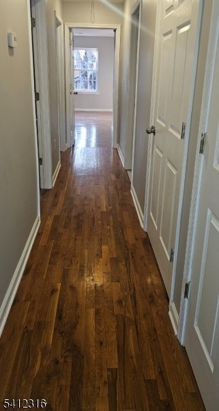 Building Photo - 307 Smith St