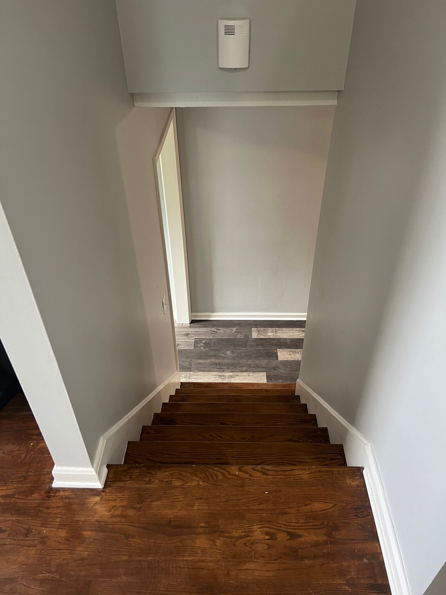 Building Photo - 8005 Casualwood Ct