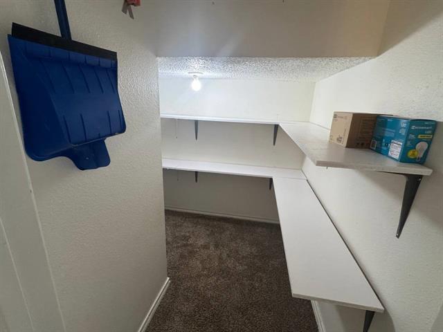 Building Photo - 703 Red Oak Dr