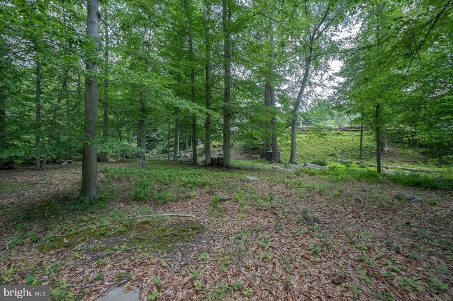 Building Photo - 337 Crum Creek Ln