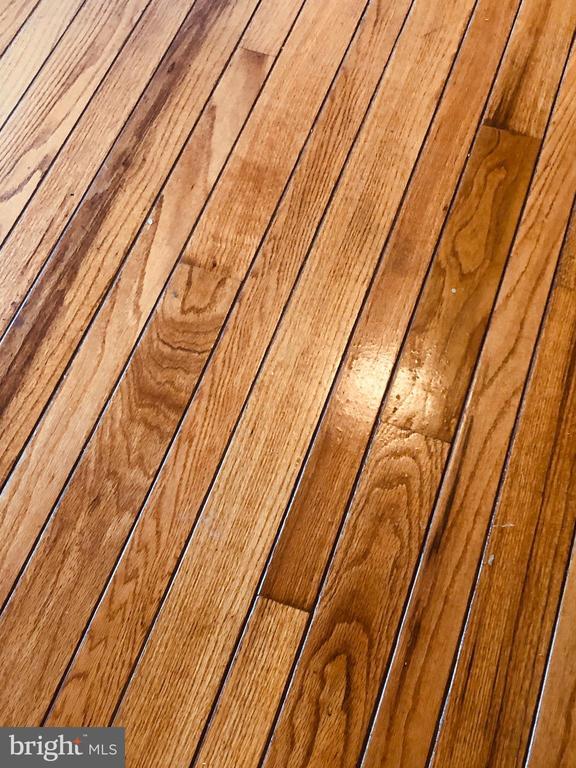 Building Photo - 420 Old Swede Rd