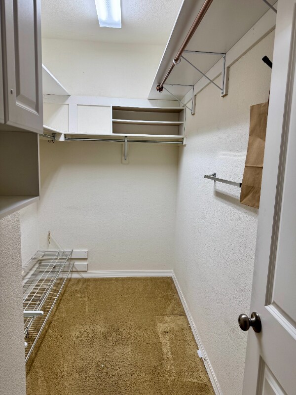Building Photo - 804 Summer Hawk Dr